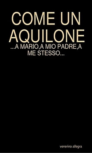 Come un aquilone