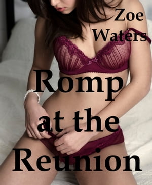 Romp at the Reunion【電子書籍】[ Zoe Waters ]