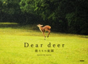 Dear deer 鹿たちの楽園