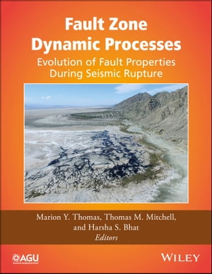 Fault Zone Dynamic Processes