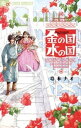 金の国 水の国【電子書籍】[ 岩本ナオ ]