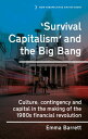 ‘Survival capitalism’ and the Big Bang Culture, contingency and capital in the m...
