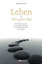 Leben - Wie geht das? Die Bedeutung der spirituellen Dimension an den Wendepunkten des Lebens