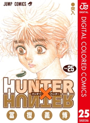 ハンター×ハンター 漫画 HUNTER×HUNTER カラー版 25【電子書籍】[ 冨樫義博 ]