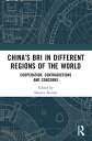 China’s BRI in Different Regions of the World Cooperation, Contradictions and Co...