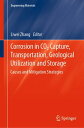 Corrosion in CO2 Capture, Transportation, Geological Utilization and Storage Cau...