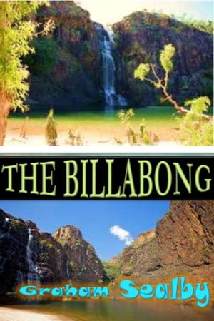ŷKoboŻҽҥȥ㤨The BillabongŻҽҡ[ Graham Sealby ]פβǤʤ311ߤˤʤޤ