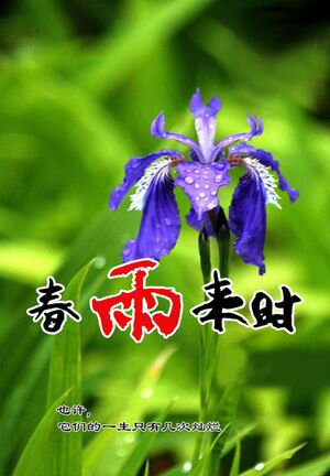 春雨来?【電子書籍】[ ?? ]