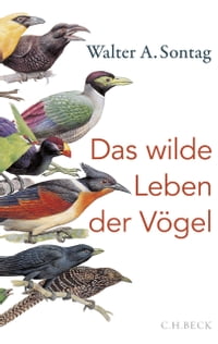 Das wilde Leben der V?gel Von Nachtschw?rmern, Kuckuckskindern und leidenschaftlichen S?ngernŻҽҡ[ Walter A. Sontag ]