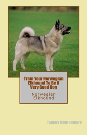 Train Your Norwegian Elkhound To Be A Very Good Dog