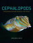 Cephalopods of Australia and Sub-Antarctic Territories