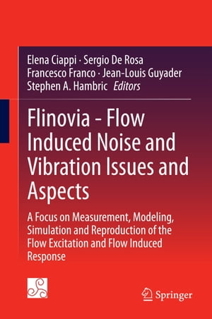 Flinovia - Flow Induced Noise and Vibration Issues and Aspects