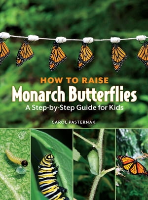 How to Raise Monarch Butterflies