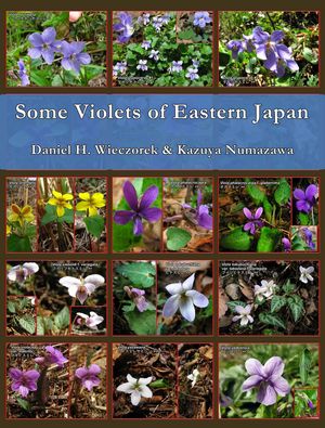 Some Violets of Eastern Japan