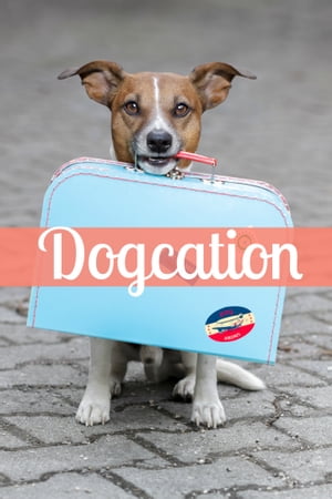 Dogcation: How (and Where) to Take Your Dog on a Vacation