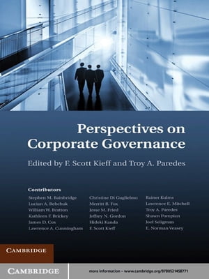 Perspectives on Corporate Governance