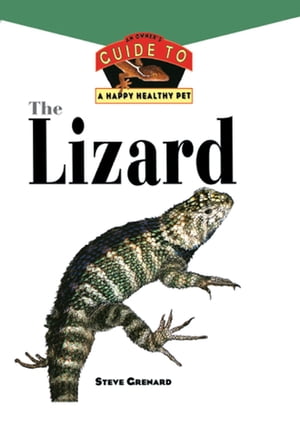 The Lizard