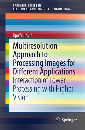 Multiresolution Approach to Processing Images for Different Applications Interaction of Lower Processing with Higher Vision