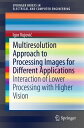 Multiresolution Approach to Processing Images for Different Applications Interaction of Lower Processing with Higher Vision【電子書籍】 Igor Vujovi