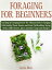 Foraging for Beginners: Cracking the Foraging Secret! The Ultimate Guide to Foraging Wild Healthy Plants, Berries and Herbs (Wildcrafting, Drying Herbs, Edible Flowers, Spices and their Usage)