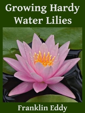 Growing Hardy Water Lilies