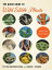 The Quick Guide to Wild Edible Plants Easy to Pick, Easy to PrepareŻҽҡ[ Lytton John Musselman ]