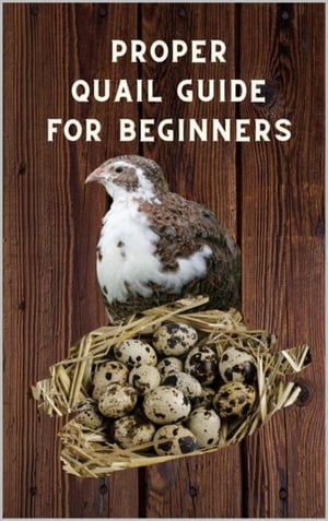 Proper Quail Guide for Beginners 1x1 Guide to Quail Keeping and Breeding Japanese Laying Quail. Perfect Quail Raising. A wonderful Poultry Breeds