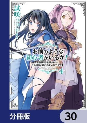 お前のような初心者がいるか！ 不遇職『召喚師』なのにラスボスと言われているそうです【分冊版】　30