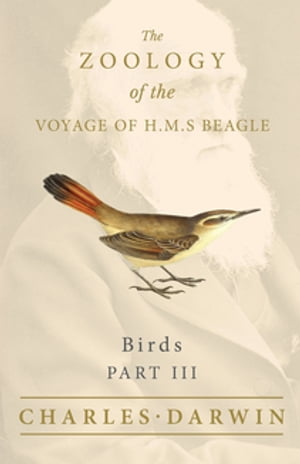 Birds - Part III - The Zoology of the Voyage of H.M.S Beagle Under the Command of Captain Fitzroy - During the Years 1832 to 1836Żҽҡ[ Charles Darwin ]