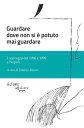 Guardare dove non si ? mai potuto guardare I convegni del 1996 e 1999 a Napoli【電...