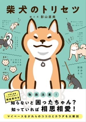 柴犬のトリセツ