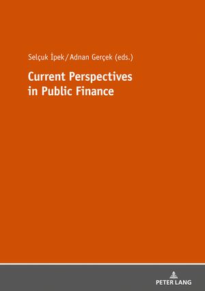 Current Perspectives in Public Finance