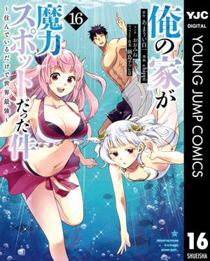 俺の家が魔力スポットだった件 〜住んでいるだけで世界最強〜 16