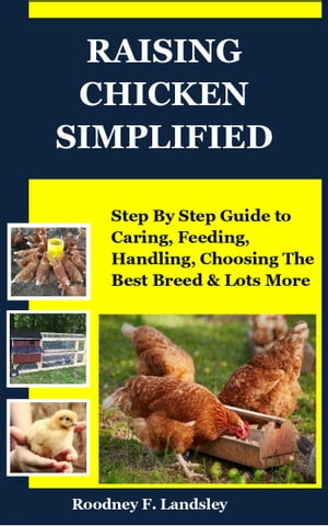 RAISING CHICKEN SIMPLIFIED