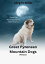 Great Pyrenean Mountain Dogs