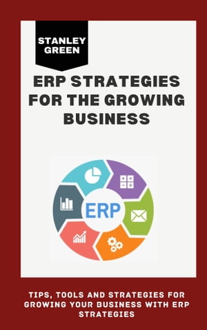 ERP Strategies for The Growing Business