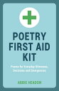 Poetry First Aid Kit Poems For Everyday Dilemmas, Decisions and Emergencies