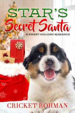 Star's Secret Santa A Sweet Holiday RomanceŻҽҡ[ Cricket Rohman ]