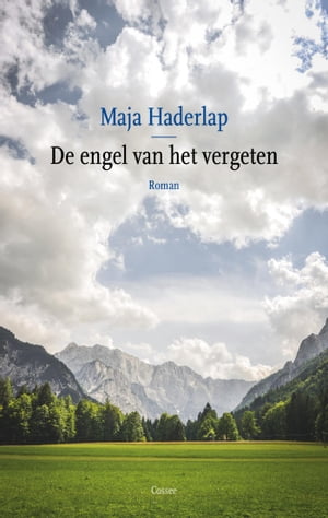 De engel van het vergetenŻҽҡ[ Maja Haderlap ]