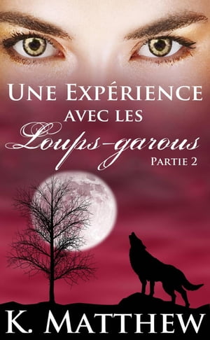 Une Expérience avec les Loups-Garous : Partie 2