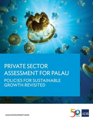 Private Sector Assessment for Palau Policies for