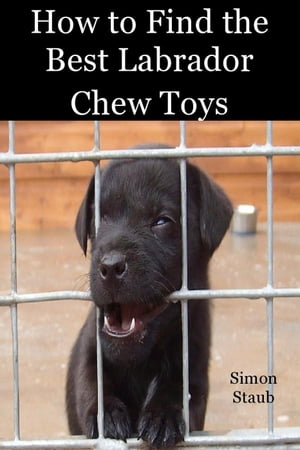 How to Find the Best Labrador Chew Toys Dog training, #4Żҽҡ[ Simon Staub ]