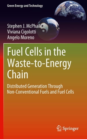 Fuel Cells in the Waste-to-Energy Chain