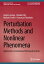 Perturbation Methods and Nonlinear Phenomena Applications to Continuous Mechanical SystemsŻҽҡ[ Angelo Luongo ]