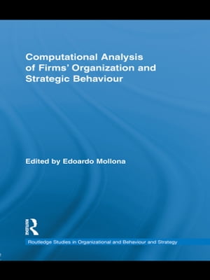 Computational Analysis of Firms’ Organization and Strategic Behaviour