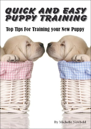 Quick and Easy Puppy Training. Top tips for training your new puppy