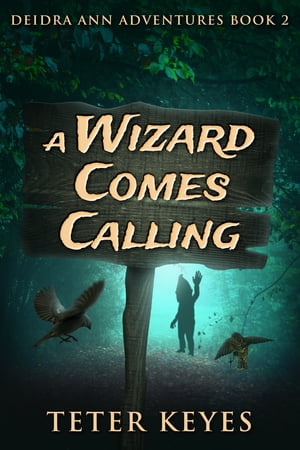 ŷKoboŻҽҥȥ㤨A Wizard Comes CallingŻҽҡ[ Teter Keyes ]פβǤʤ450ߤˤʤޤ