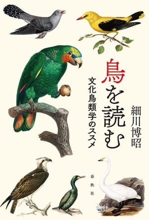 鳥を読む