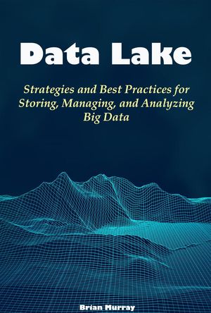 Data Lake: Strategies and Best Practices for Storing, Managing, and Analyzing Big Data