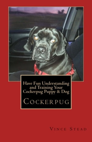 Have Fun Understanding and Training Your Cockerpug Puppy & Dog